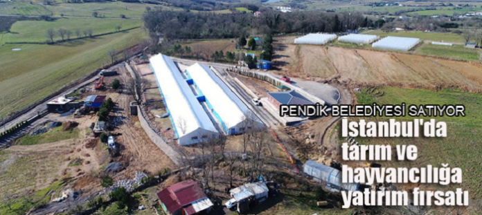 Pendik Belediyesi’nden Yatırımlık 2 Arsa Satışı